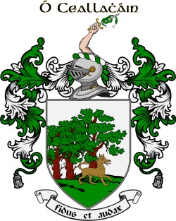 O'CALLAGHAN family crest O'CALLAGHAN family crest