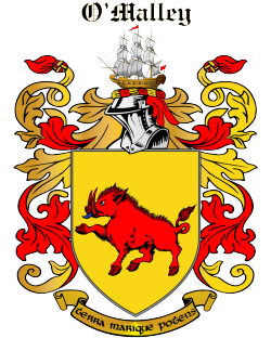 MCNEVIN family crest